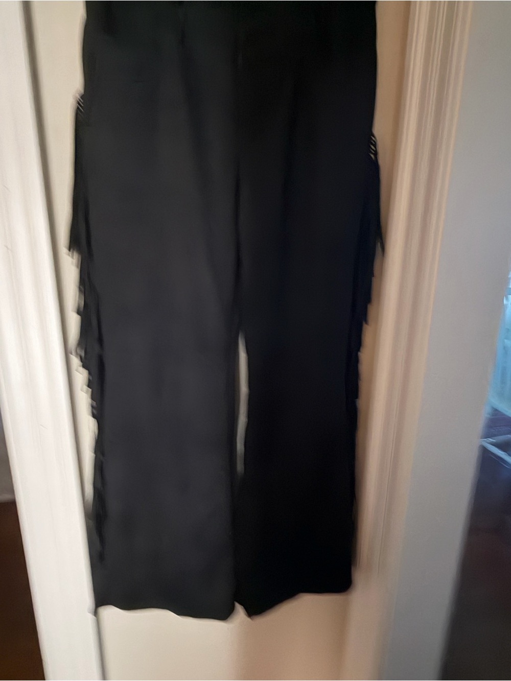 Alden Archer Faux Suede Fringe Pants